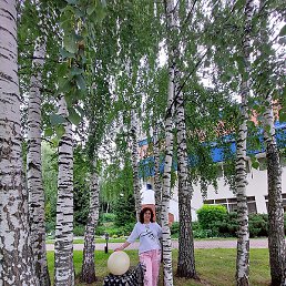 ���������, ������, 62 ����