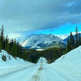 Maya, ��������, 45 ���