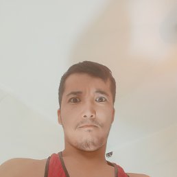 ���� �����, ������, 33 ���� - ��������� 2 �������� 2023