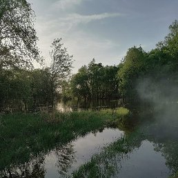 �����, ����, 35 ���