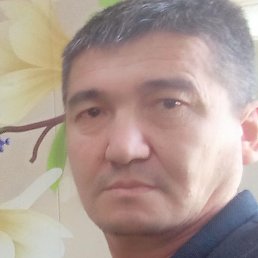 �����, ������, 49 ���