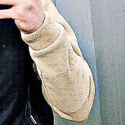 �����, �����-���������, 23 ����