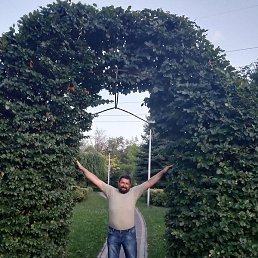 �����, �����������, 55 ���