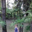 ���� . 2022 �. �� ������� ���� ����������