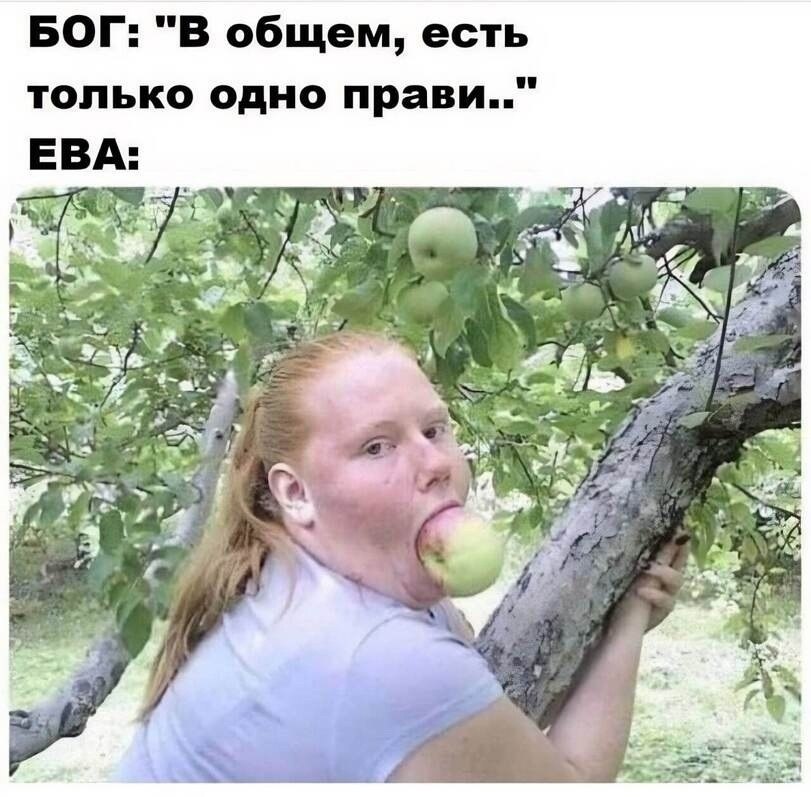 �������� - 25 �������� 2023 � 14:01