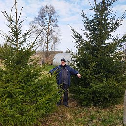 ������, ������, 47 ���