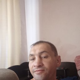 , 42 , 