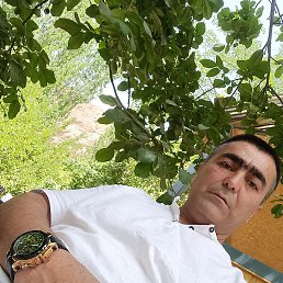 ������, �����-���������, 43 ����