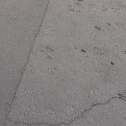 Zamanbek, ������, 31 ���