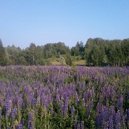 ����, ������, 53 ����