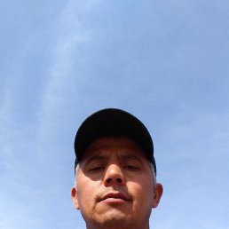 �������, ������, 37 ���