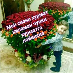 �����, �����, 37 ���