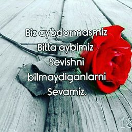 ���������, �����, 29 ���