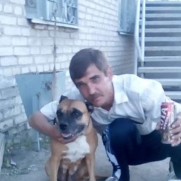 ������, ������ ��������, 45 ���