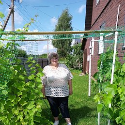 �������, ������, 56 ���