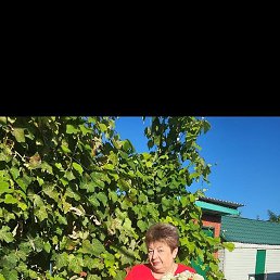 ������, ���������, 64 ����