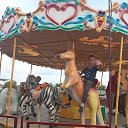 ���� ���, ������, 38 ��� - ��������� 28 ���� 2023 � ������ ���� ����������