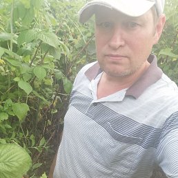 ������, ���������, 49 ���