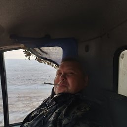 �������, ������, 46 ���