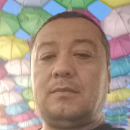 �������, �����, 43 ����