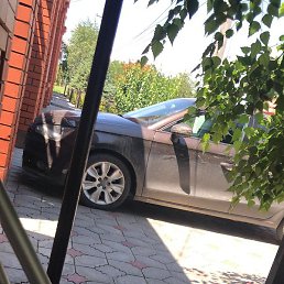 �����, ���������, 50 ���