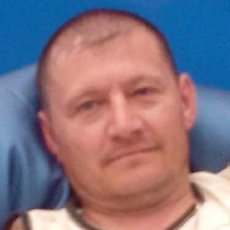 �����, �������, 46 ���