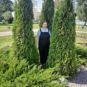 ���� ����, ���������� �����, 49 ��� - ��������� 19 �������� 2023 � ������ ���� ����������