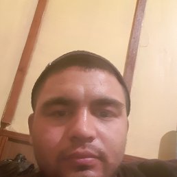 ���� ��������, �������, 33 ���� - ��������� 3 ����� 2023