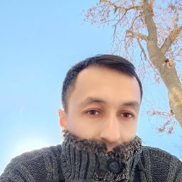 �����, ���������, 41 ���