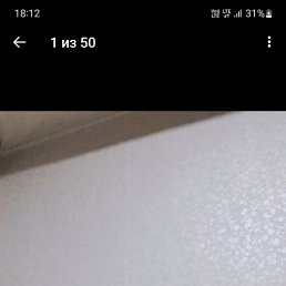 �������, ���������, 39 ���