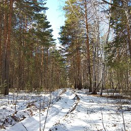 ������, ������, 45 ���