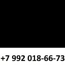 ���� Nz M, ���������, 21 ��� - ��������� 6 ������� 2023