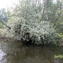 ���� �����, ������, 48 ��� - ��������� 25 ���� 2023