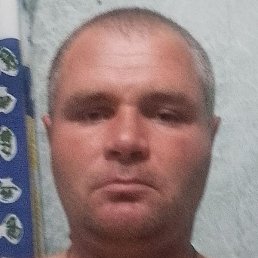 ����, ������, 37 ���