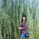 ���� ����, �����-4, 39 ��� - ��������� 23 �������� 2023 � ������ ���� ����������