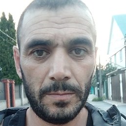 �����, ������, 41 ���