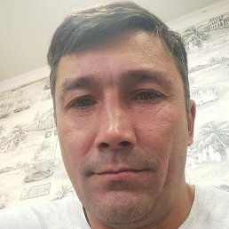 �������, ���������, 41 ���