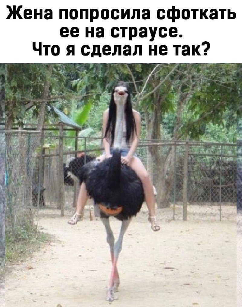 Жена считает, что главная цель моей жизни — плохо ее сфотографировать! То у неё ноги отрезаны. То ...