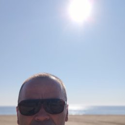 ������, ������, 49 ���