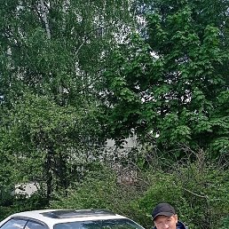 �����, �����-���������, 29 ���