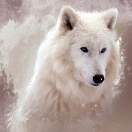 �������, ����, 26 ���