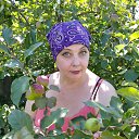 ���� �����, ������, 56 ��� - ��������� 28 ���� 2023 � ������ ���� ����������