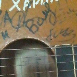 ����, �����-���������, 49 ���