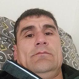 , , 43 