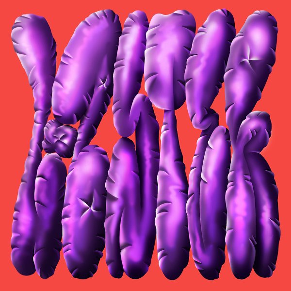 ����������������� ����������� ������ ���������� � Lobster Studio.#awd_typo via ... - 3