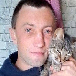 ������, ������, 37 ���