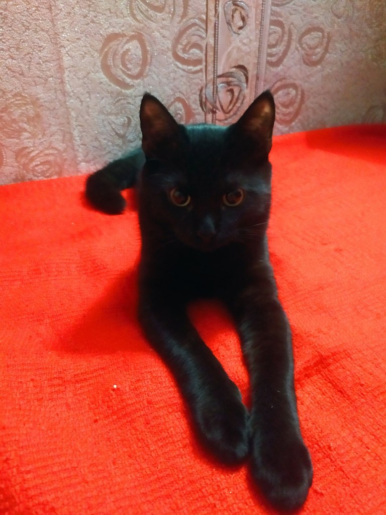    !