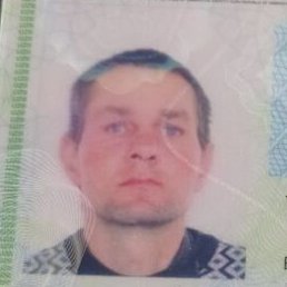 �������, ������, 46 ���