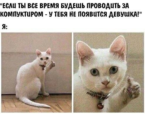    - 5  2023  21:43