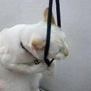 ���� ��������, ���� - ��������� 22 ������� 2023 � ������ ���� ����������